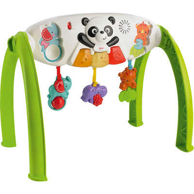 Развивающий центр FISHER PRICE Растем вместе, прокат в Новосибирске, фото №1